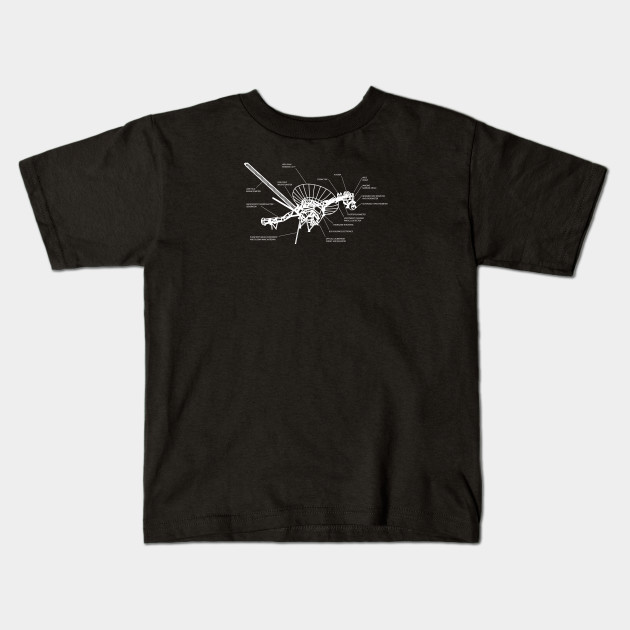 Voyager Spacecraft
